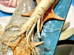 -千岛蚝高压锅生蚝·人参火锅(白云万达店)