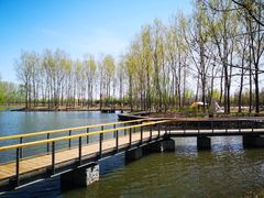 -东郊湿地公园