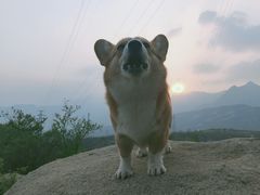 -白水寺森林公园