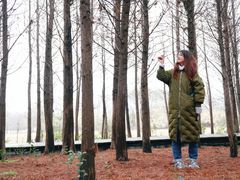 -溱湖国家湿地公园