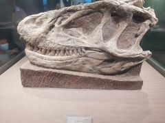 -自贡恐龙博物馆