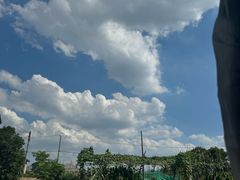 -马陆小张葡萄园农家乐