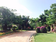 三亚凯莱仙人掌度假酒店-三亚亚龙湾凯莱仙人掌度假酒店