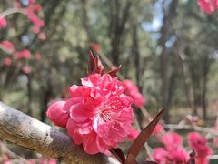 -千佛山风景名胜区-历山院