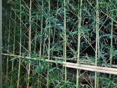 -绿雅居原生态农庄(小涌店)