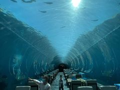 -海棠湾洲际-涛·海底餐厅·美人鱼·自助餐·海底隧道