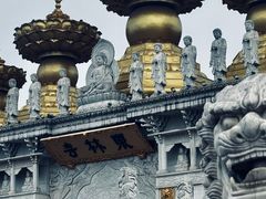 -上海东林寺(金山区)