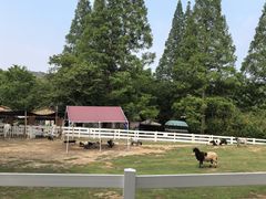 -白马涧龙池景区