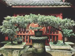 -普陀山风景区-佛顶山