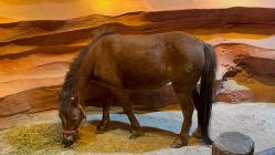 -酷嗒动物文化乐园(cutezoo西溪乐天城店)