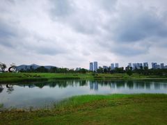 -桂溪生态公园
