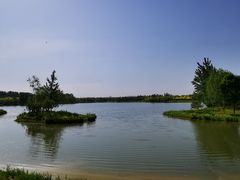 -东郊湿地公园