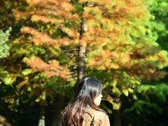 -南京市无想山景区