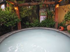 -仁爱团泊湖温泉中心