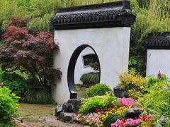 -上海共青森林公园