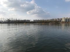 -洋湖国家湿地公园
