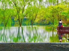 景观位-杭州西子湖四季酒店·金沙厅