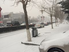 -金百合麻辣烤鱼(百货大楼店)