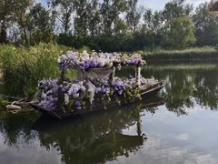 -溱湖国家湿地公园