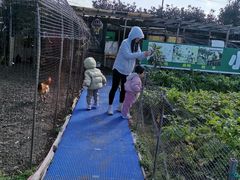 -小鱼草莓采摘园农家乐·小鱼餐厅