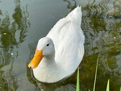 -三里河公园