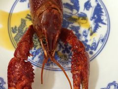 -庾氏龙虾馆(多弗汇店)