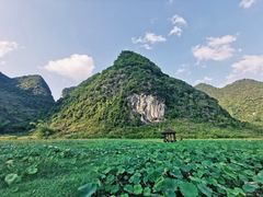 -靖西鹅泉风景区