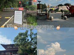 -潜山国家森林公园