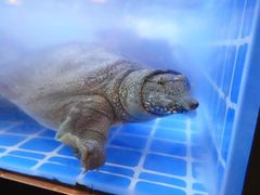 -湘里乡亲老长沙口味馆