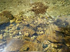 -无染寺