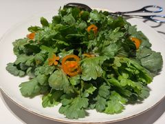 -羲和雅苑•北京烤鸭(国贸商城店)