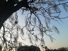 -乌镇景区