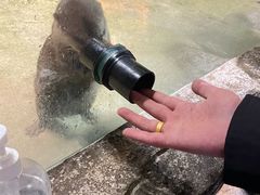 -重庆欢乐海底世界