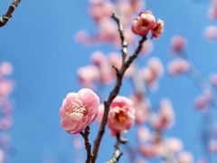 -白塘生态植物园