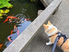 -苏州文旅平江花间堂·探花府酒店