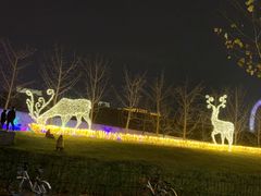 -梦之蓝青奥体育公园体育馆