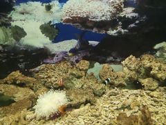 -泉州海丝野生动物世界