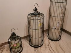-御池园(顾村公园店)