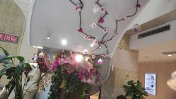 -伽美医疗美容医院·高端抗衰中心