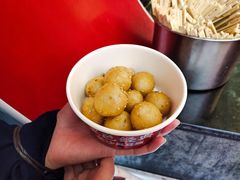 -黑色经典臭豆腐·湖南特产(步行街店)