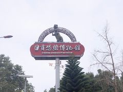 -自贡恐龙博物馆