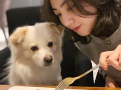 千层面-百好乐宠物友好餐厅(朝外大街店)