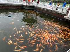 -长春市南湖公园