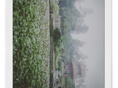 -四川大学(望江校区)