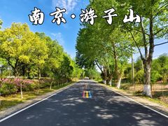 -游子山休闲旅游区