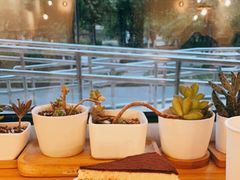 -Cafe Villa