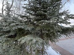 -人民防洪胜利纪念塔