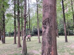 -成都南湖公园
