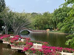 -深圳龙潭公园