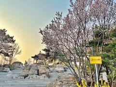 -大兴滨河森林公园